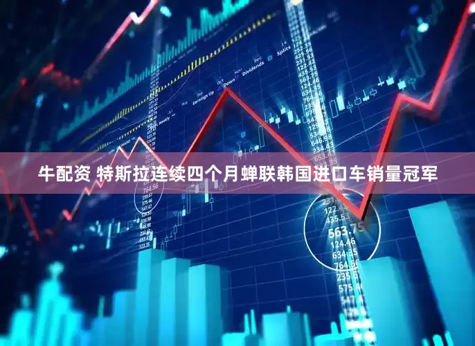 牛配资 特斯拉连续四个月蝉联韩国进口车销量冠军
